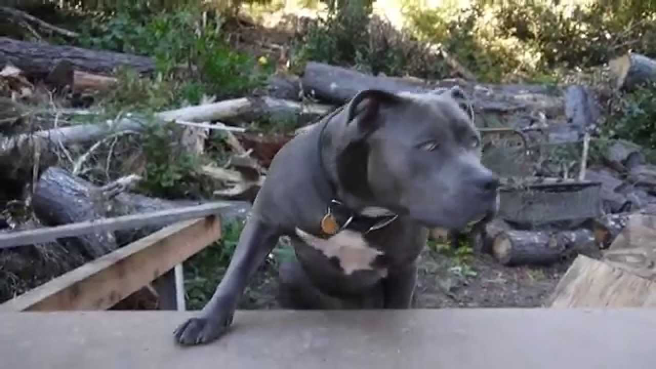 Subscribe to youtube here: https://www.youtube.com/channel/UCjKj...<br />Subscribe to Skate Jawn: https://webstore.skatejawn.com/<br />More content: http://skatejawn.com<br />IG: @skatejawn