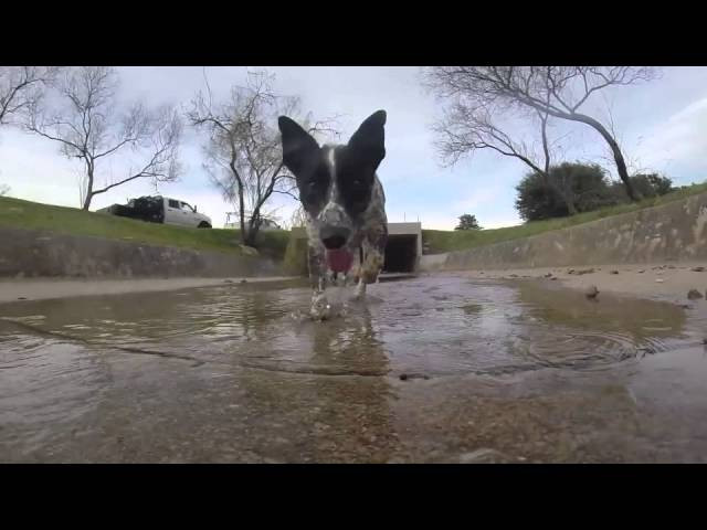 Skating in Texas<br /><br />Subscribe to youtube here: https://www.youtube.com/channel/UCjKj...<br />Subscribe to Skate Jawn: https://webstore.skatejawn.com/<br />More content: http://skatejawn.com<br />IG: @skatejawn