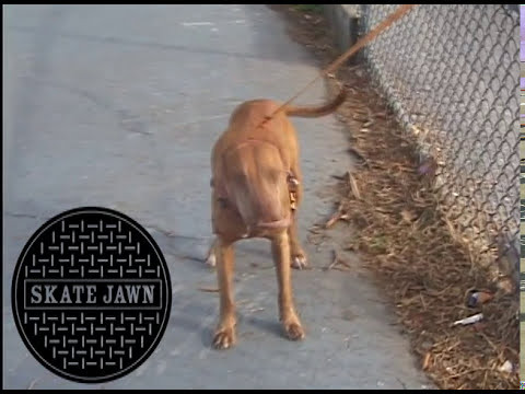 Subscribe to youtube here: https://www.youtube.com/channel/UCjKj...<br />Subscribe to Skate Jawn: https://webstore.skatejawn.com/<br />More content: http://skatejawn.com<br />IG: @skatejawn