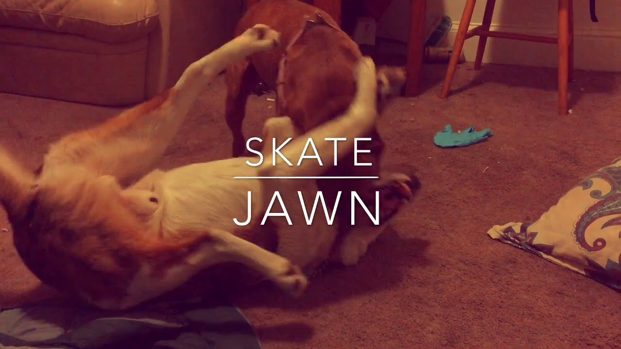 Subscribe to youtube here: https://www.youtube.com/channel/UCjKj...<br />Subscribe to Skate Jawn: https://webstore.skatejawn.com/<br />More content: http://skatejawn.com<br />IG: @skatejawn