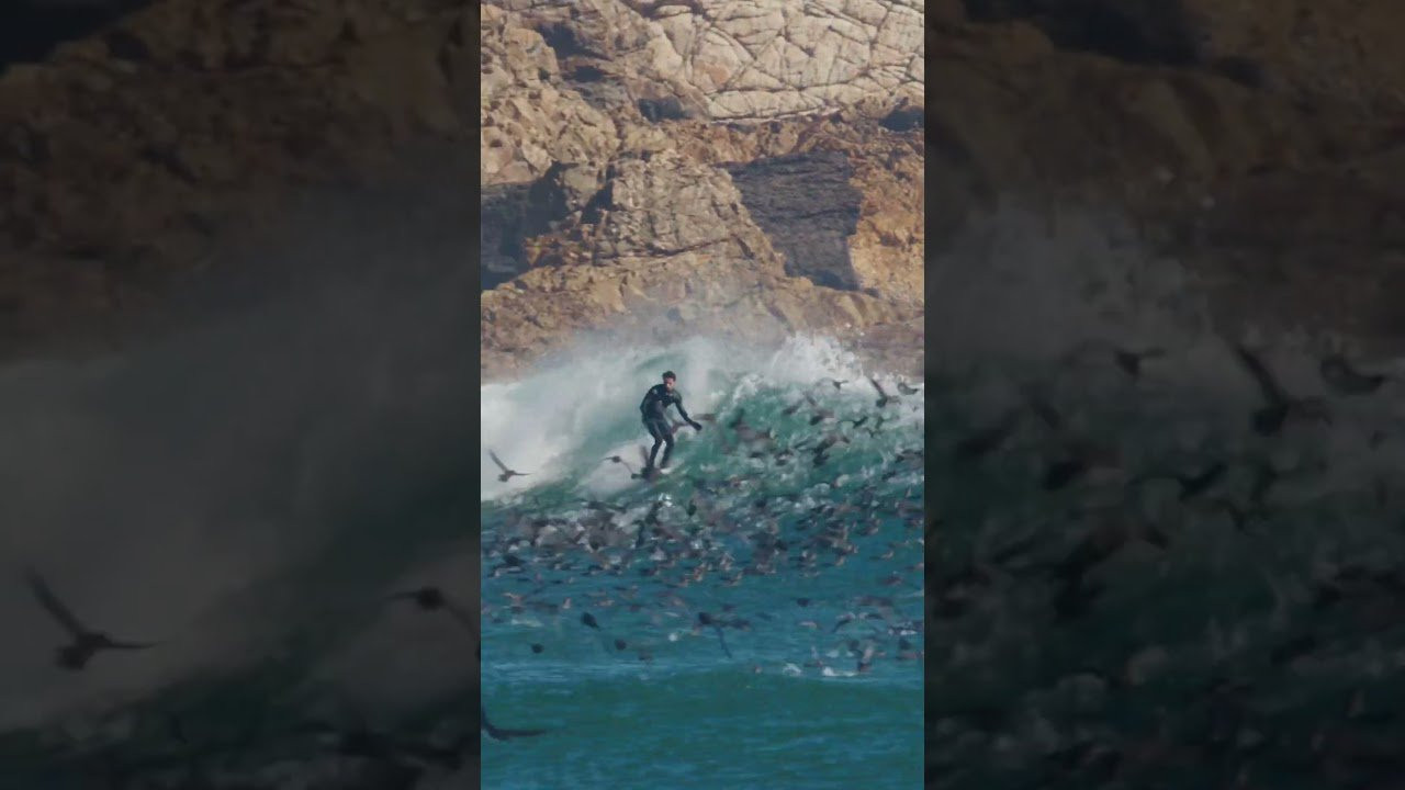 Enjoy the videos and music you love, upload original content, and share it all with friends, family, and the world on YouTube.