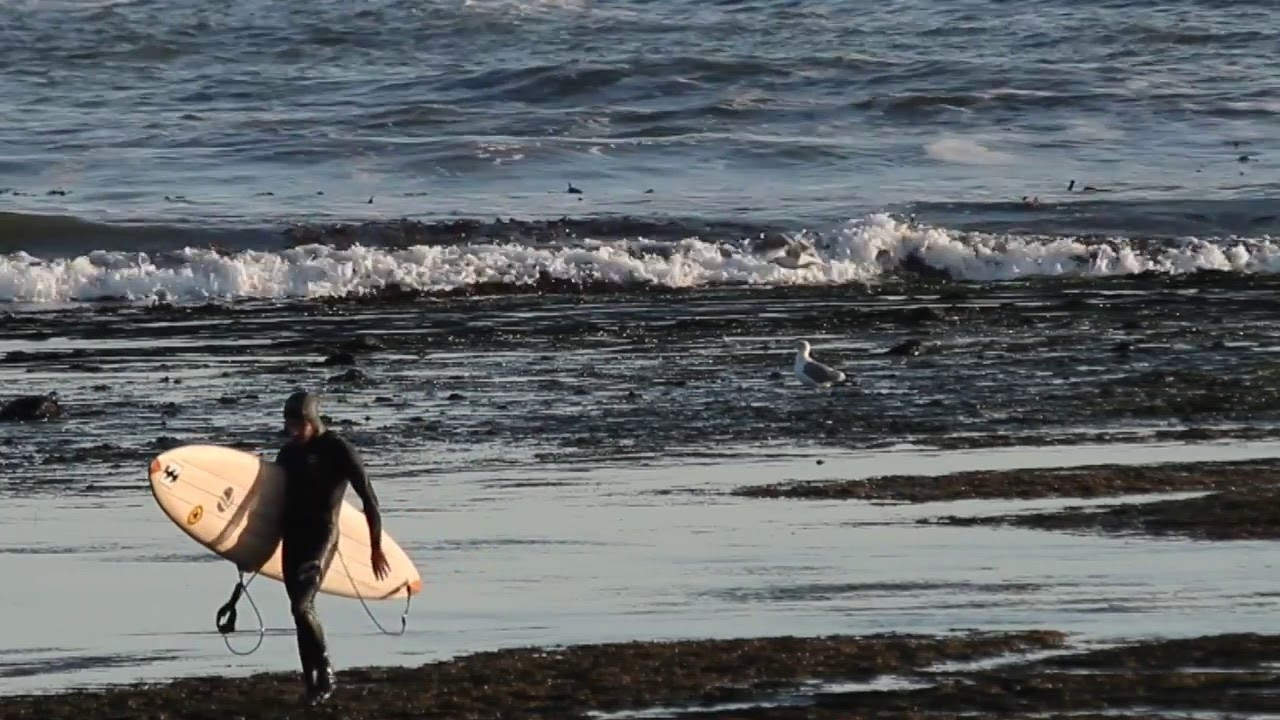 Dominican big-wave surfer, Andres Flores recalls one of his most dangerous wipeouts at Mavericks in Half Moon Bay. Previous to this wipeout, Flores had broken a rib at Mavs, so his respect runs deep for the powerful wave. <br /><br />http://www.TheSurfChannel.com<br />___<br /><br />The Surf Channel is an original, free, ad supported television network delivered on cable, satellite and IPTV services, web and wireless. The Video On Demand television network will be found on cable, satellite, telco and digital. Distribution partners include: Comcast, Cox Communications, DirecTV, Dish Network, Filmon.com.<br /><br />For industry news around the clock and to find out about the upcoming television launch, check out:<br /><br />http://www.TheSurfChannel.com<br />http://www.Facebook.com/TheSurfChannel<br />http://www.Twitter.com/TheSurfChannel<br />http://www.Instagram.com/TheSurfChannel<br /><br />* Twitter/Instagram your best barrel face to win prizes every month to #TheSurfChannel #BarrelFace, and 'Like' us on Facebook to join history's first network dedicated to the great sport of surfing.