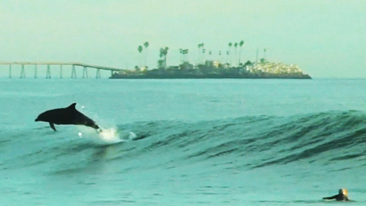 Surfing The Globe - Nate Yeomans. Nate surfing around the globe. <br /><br />Interview/Edit Matt Wybenga<br />Check out The Incedible China River Wave Here: http://www.youtube.com/watch?v=cAGABdvv5u8<br /><br />The X-Treme Channel features awesome extreme sports action from all over the world!<br /><br />Subscribe To X-Treme Here: http://goo.gl/7Vdr0<br />Website: http://www.x-tremevideo.com<br />Twitter: http://twitter.com/XTremeVideo<br />Facebook: http://www.facebook.com/XTvideo