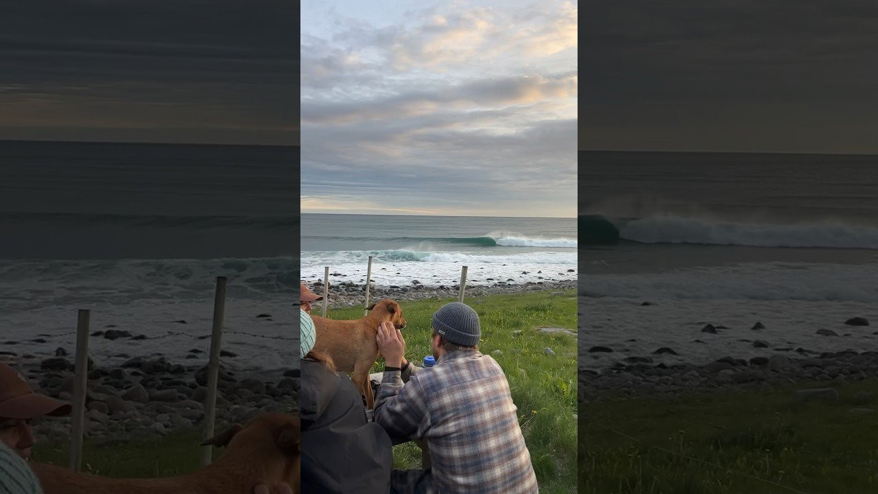 Enjoy the videos and music you love, upload original content, and share it all with friends, family, and the world on YouTube.