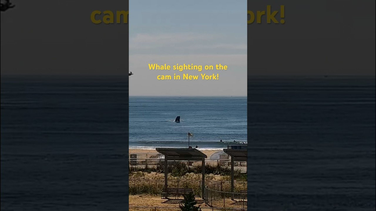 Enjoy the videos and music you love, upload original content, and share it all with friends, family, and the world on YouTube.