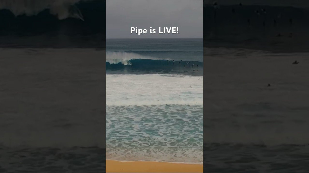 Enjoy the videos and music you love, upload original content, and share it all with friends, family, and the world on YouTube.