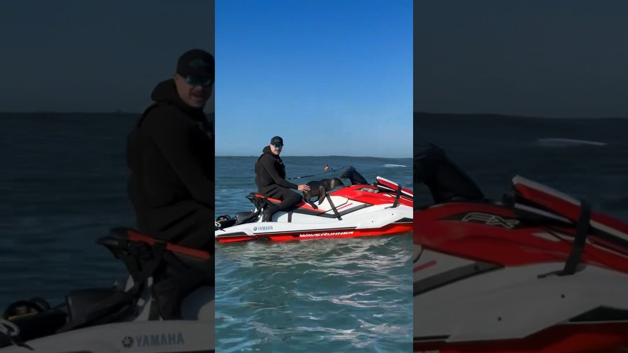 Enjoy the videos and music you love, upload original content, and share it all with friends, family, and the world on YouTube.