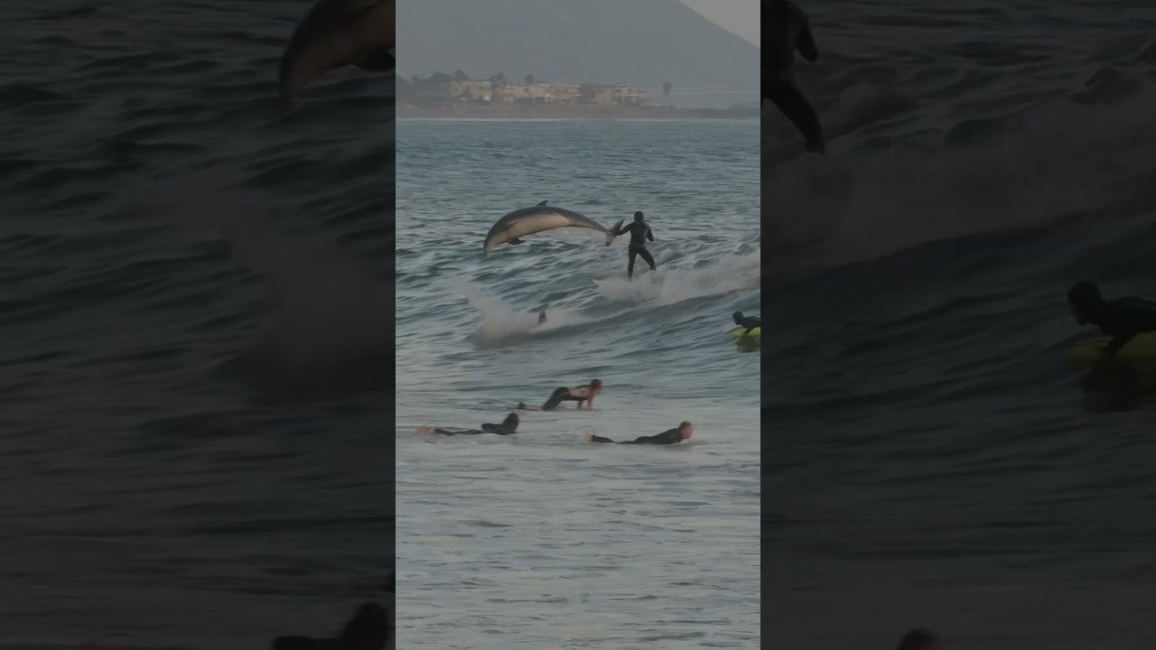 Enjoy the videos and music you love, upload original content, and share it all with friends, family, and the world on YouTube.