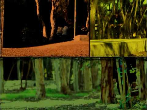 Organika Presents "Skateboarding is Believing" commercials, starting with Walker Ryan.<br /><br />For more information on this link visit:<br />http://www.thekayocorp.com<br />http://www.organikaskateboards.com