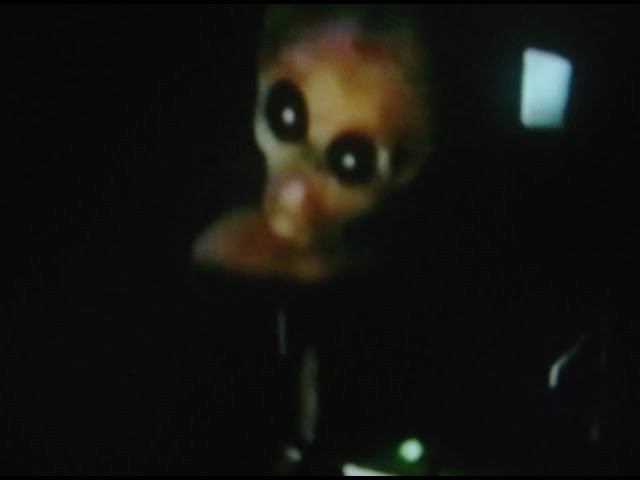 The Theories crew is back in an all new psychological thriller "Jupiter". Featuring all of your favorites including John Baragwanath, Brett Weinstein, Taylor Nawrocki, Jahmal Williams, Trevor Thompson, Brian Powderly, Steve Brandi, Kevin Liedtke, Kevin Coakley, Ben Gore, Brendan Carroll, Jovi Bathemess, Shamus McDunough and introducing Nyle Lovett, Jason Nam and Josh Feist.<br /><br />Video by Josh Stewart<br />Filmed by Josh Stewart, Jake Todd, John Valenti, Tristan Mershon, Eric Lebeau, Colton Abernathy, Matt Velez and Jacob Palumbo<br /><br />Check out the Theories SU20 Collection here:<br />https://www.theoriesofatlantis.com/collections/theories