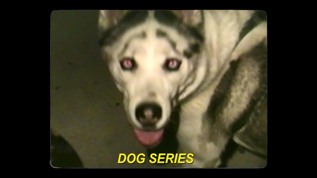 available now at www.theworble.com<br /><br />music by Cobra Man: https://cobraman.bandcamp.com/