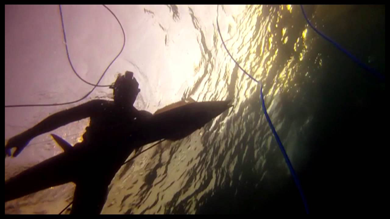 Baja By Boat: A spearfishing and surfing voyage down the coastline of Baja California.