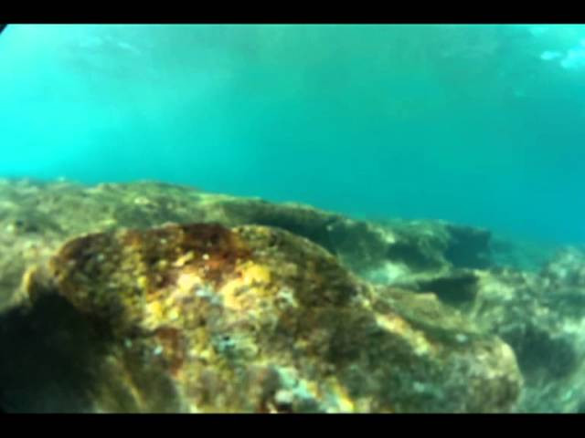 During yesterday's "Lei Day" at the Volcom Pipe Pro, we decided to see what's below the surface at Pipeline. Filmed on the new GoPro Hero 2, this treacherous reef is what 2012 Volcom Pipe Pro competitors will be dealing with shortly...