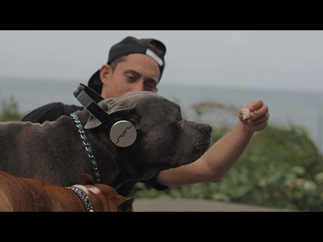 Hawaiian charger and budding musician Makua Rothman shares the roots of his love for music.