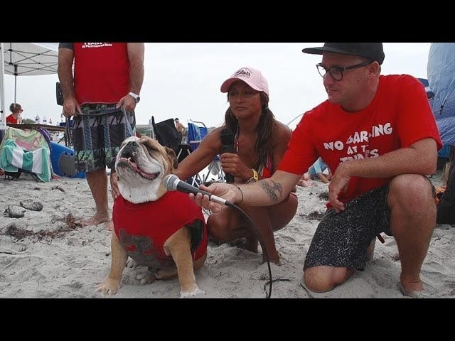 TWS' Chris Coté pays a visit to the 7th annual Helen Woodward Animal Center Surf Dog Surf-A-Thon at Dog Beach in Del Mar, CA.<br /><br />Check out more TransWorld SURF videos at: twsurf.com