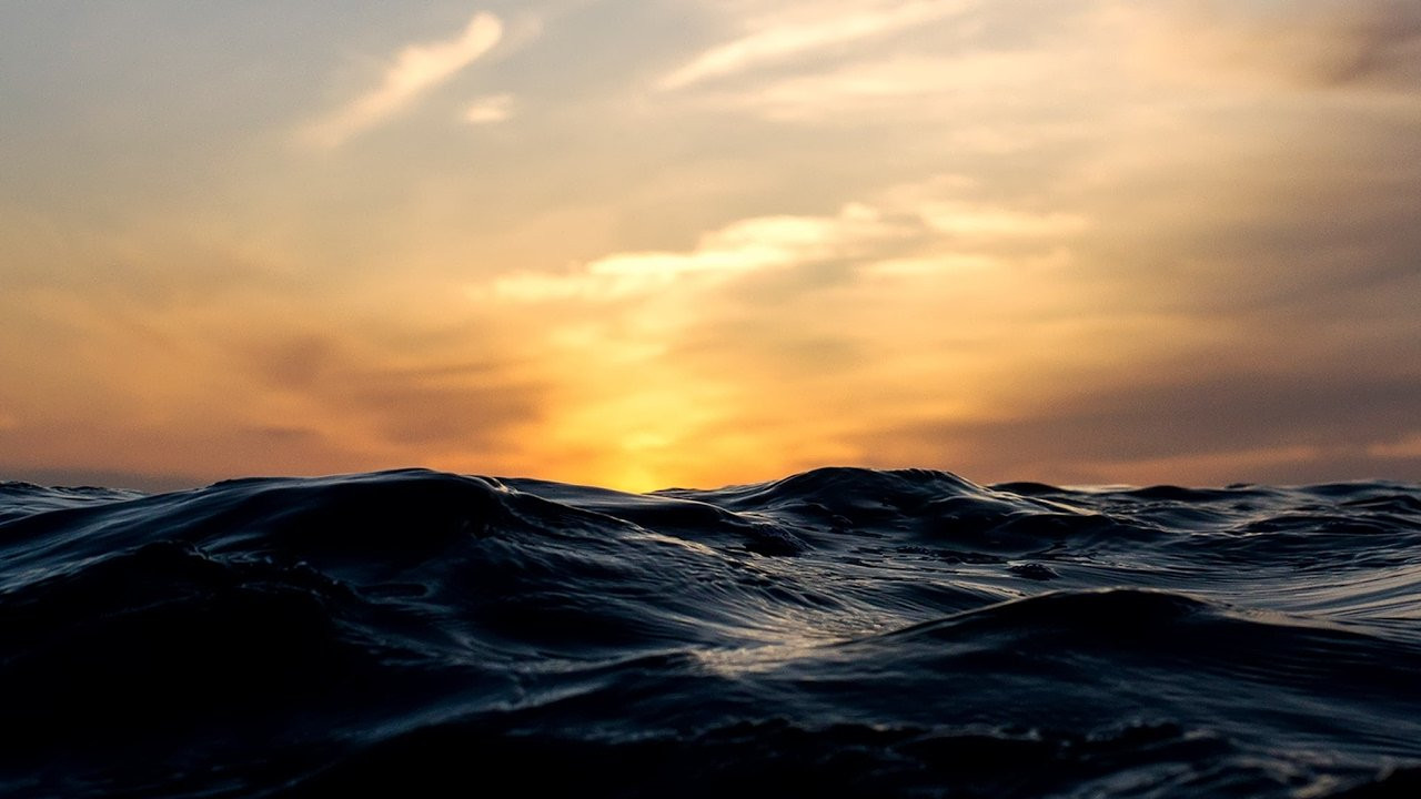 Rincon Classic Surf Contest