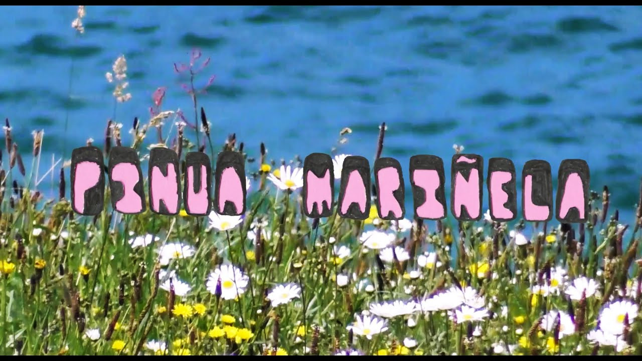 Pinua Mariñela<br /><br />"Pinua Mariñela" means "Pinecone Sailor" in Basque.<br />This is the story about a pinecone from outer space that landed on earth. They sail all the way from the pacifique north west to the Basque Country, through perils, high seas, and storms, the crossing tragically culminates in the mouth of our favourite Icelandic friend, Bowie.<br /><br />Pinua Mariñela is a short DIY surfing video made by us. It is about the inherent odyssey while trying to find the magic sandbar. You never really know if it is time to go home, or to have an exhilarating interlude in Morocco. Finding the magic sandbar takes time, and it takes midnight moonset choreography, but ultimately it was about making something amusing and arbitrary together.<br /><br />Thee And<br /><br />filmed by:<br />Giulia Ávila<br />Nil Puissant<br />Leo Maigret<br />Mikel Urigoitia<br />Hanna Scott<br />Lee-Ann Curren<br />Lucie Curutchet