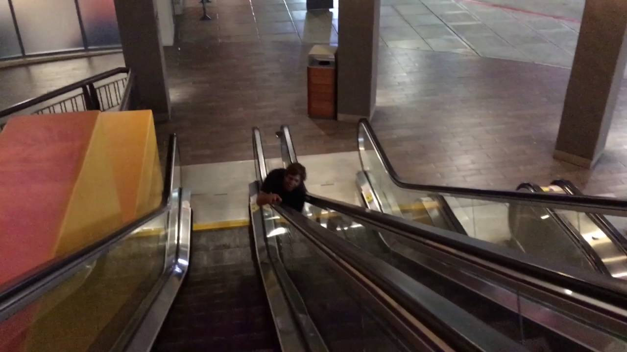 New Lizards coming soon...