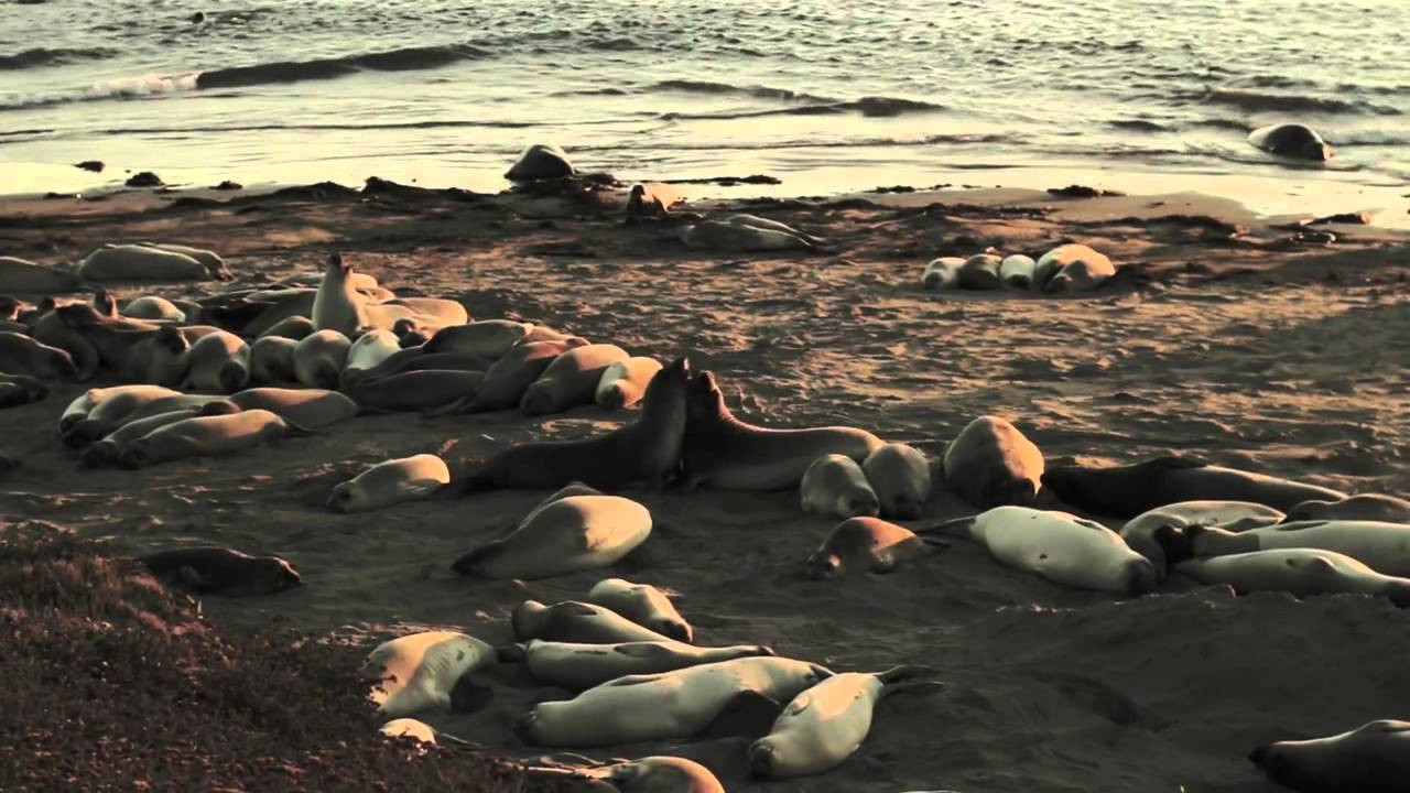 Watch now at: <br />http://www.whatyouth.com/2012/11/30/usual-highway/?id=5585<br /><br />A WHAT YOUTH ORIGINAL SHORT FILM STARRING OWEN WRIGHT<br /><br />In this What Youth short film Owen Wright scours the California coast in a Recreational Vehicle looking for wedges and trouble. He finds one of those things.<br /><br />This is a short film starring Owen Wright.<br /><br />Filmed and edited by Victor Pakpour.