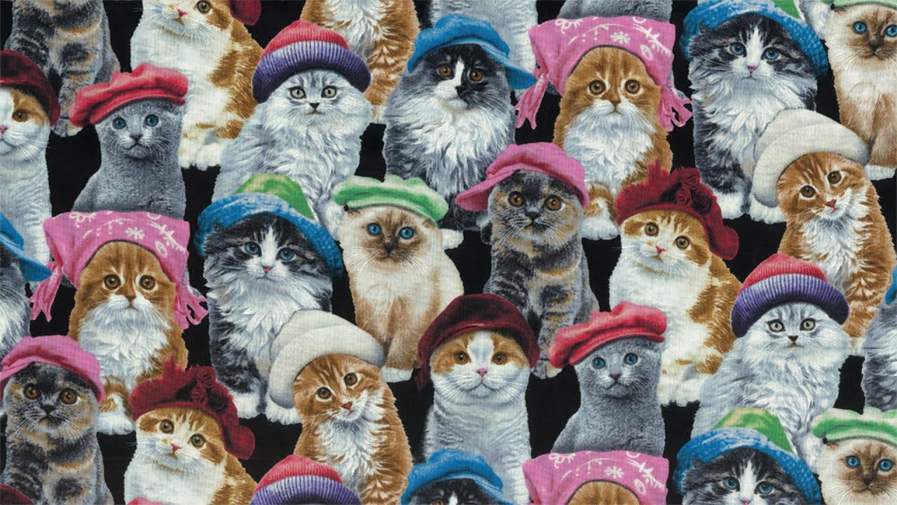 Subscribe to our Youtube Channel. <br />https://www.youtube.com/channel/UCgU04HwFTRQx6hsnWSeBUSQ<br /><br />Facebook: https://www.facebook.com/whatyouth?ref=ts&fref=ts<br />Instagram: http://instagram.com/whatyouth<br />Twitter: https://twitter.com/whatyouth