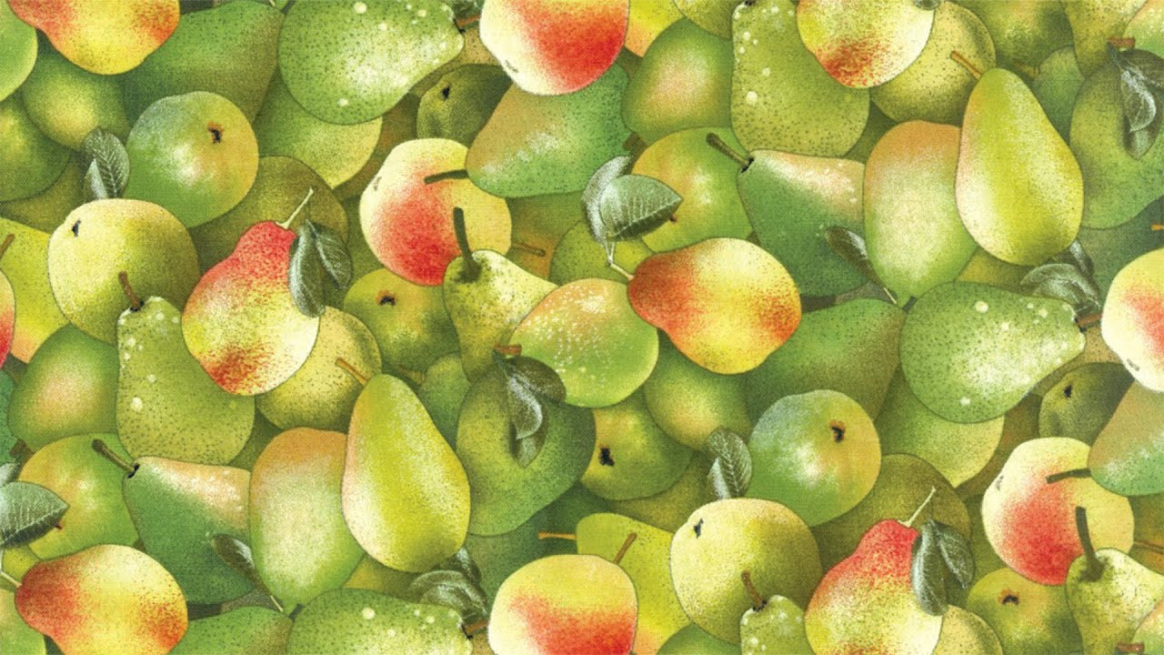 Subscribe to our Youtube Channel. <br />https://www.youtube.com/channel/UCgU04HwFTRQx6hsnWSeBUSQ<br /><br />Facebook: https://www.facebook.com/whatyouth?ref=ts&fref=ts<br />Instagram: http://instagram.com/whatyouth<br />Twitter: https://twitter.com/whatyouth