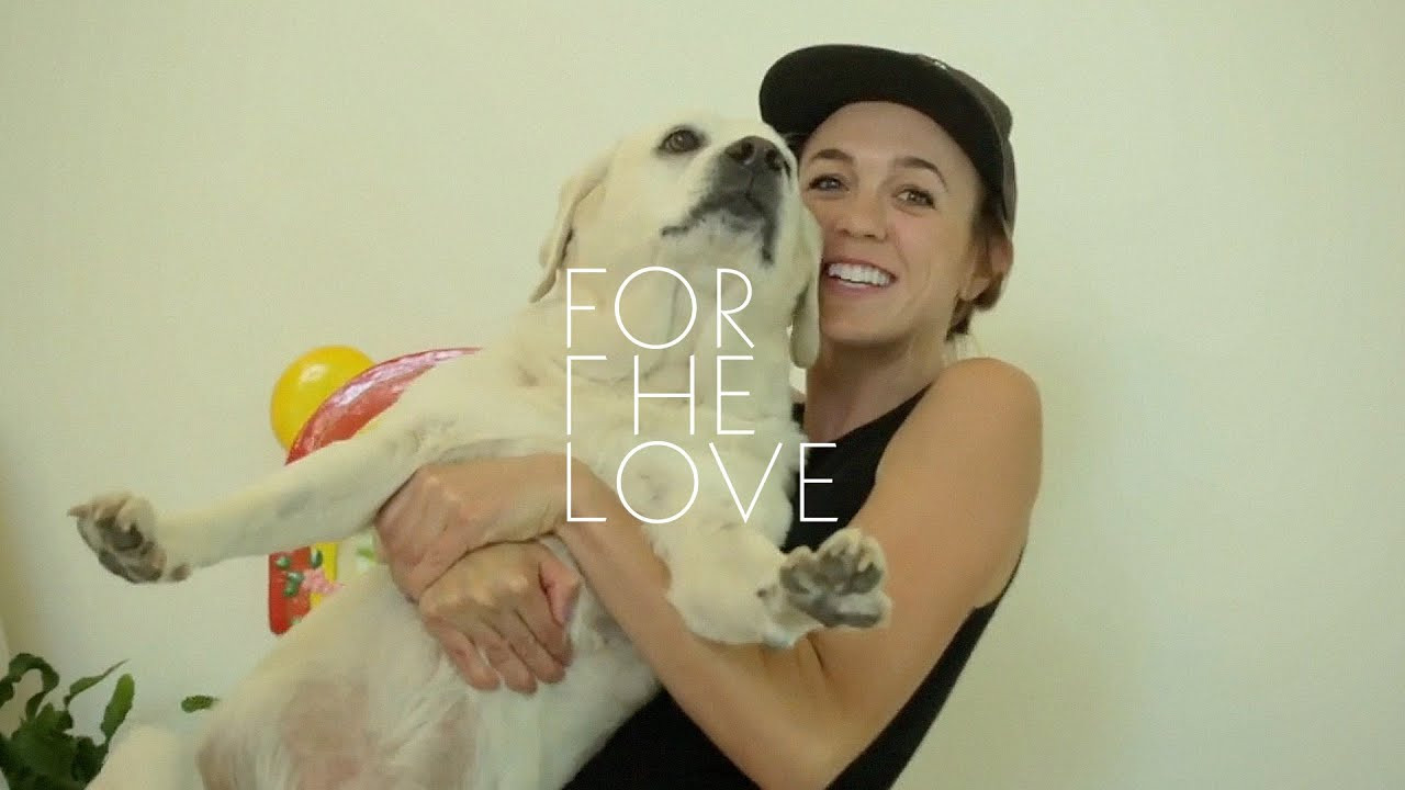 Yes, she’s Dane Reynolds’ girlfriend Courtney, but over the past few years, her alias, Napkin Apocalypse has created her own following by utilizing her knowledge and love for the animal kingdom and a creative twist on fashion and pop culture to entertain and delight us all.<br /><br />Her Instagram account (@napkinapocalypse) has become quite a phenomenon of its own. Usually featuring her now infamous trio of birds and pigeons and dogs including fan favorites “bratty teenager” Pam, “wad of gum” Boogy, and the lovable Truffle. Needless to say, Napkin has caught our attention.<br /><br />And the one things that many people may not know: Napkin knows her shit. A few minutes with her and you’ll notice that in between the fun animal antics and funny fabrics is a well-educated animal lover. She is a licensed falconer. Her best friend runs a zoo. She trained dolphins in high school. And is a well of knowledge and insight on almost all winged and feathered animals.<br /><br />We dropped by Dane and Courtney’s place to take a look behind the scenes of everyone’s favorite Instagram account.<br /><br />Click Here to watch the full episode. <br />http://whatyouth.com/shows/for-the-love/for-the-love-napkin-apocalypse-episode-009-presented-by-vissla/<br /><br /><br />Subscribe to our Youtube Channel. <br />https://www.youtube.com/channel/UCgU04HwFTRQx6hsnWSeBUSQ<br /><br />Facebook: https://www.facebook.com/whatyouth?ref=ts&fref=ts<br />Instagram: http://instagram.com/whatyouth<br />Twitter: https://twitter.com/whatyouth