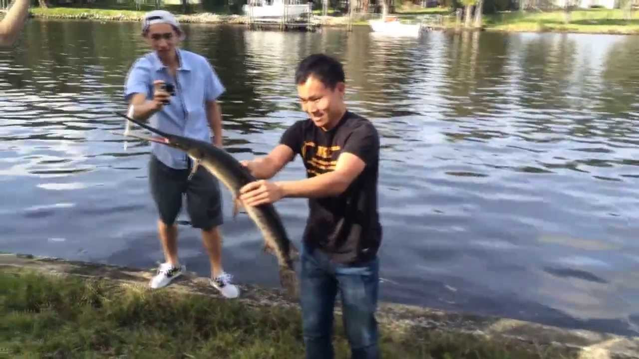 Our friends from Nike SB China are in town for a couple weeks and stopped by the Dream Driveway today to skate, fish, and be all American as you can be while visiting here. I've got a few snaps on http://TheBoardr.com and some ripping fishing footage from my phone. Johnny Tang has control of the rod and reel just as good as he does with the wood and wheels.