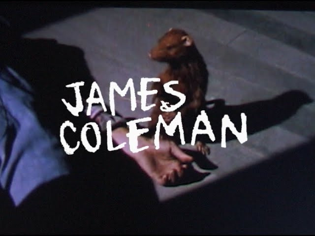 James Coleman is one of our favorite shredders and we felt it would be a shame if his part from Mike Atwood's "Incognito" wasn't seen by as many people as possible. So Mike sent over James' part to us the other day and we've posted it up for your viewing pleasure. Enjoy!