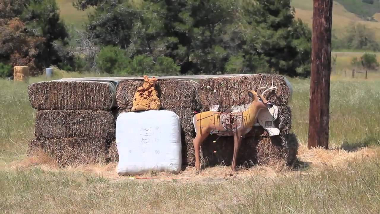 Dingo Morrison, Dylan Graves, and Aron Gieger search for surf up the California coastline.<br /><br />Check out more TransWorld SURF videos and content at: twsurf.com