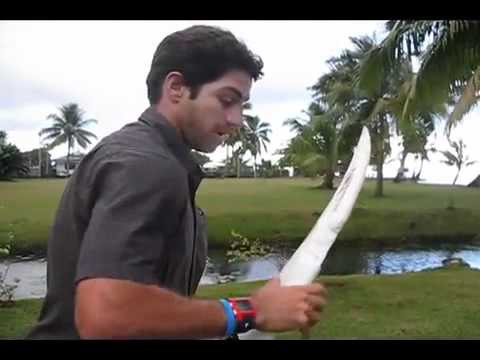 Adam "Biff" D'Esposito recounts his harrowing encounter with a shark while surfing near Teahupo'o.<br /><br />Check out more TransWorld SURF videos at: twsurf.com