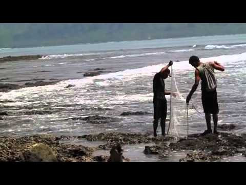 Billabong's Surf With A Pro Trip To Kandui Resort. Starring Shane Dorian, Dave Rastovich and 18 stoked campers.<br /><br />Check out more TransWorld SURF videos at: twsurf.com