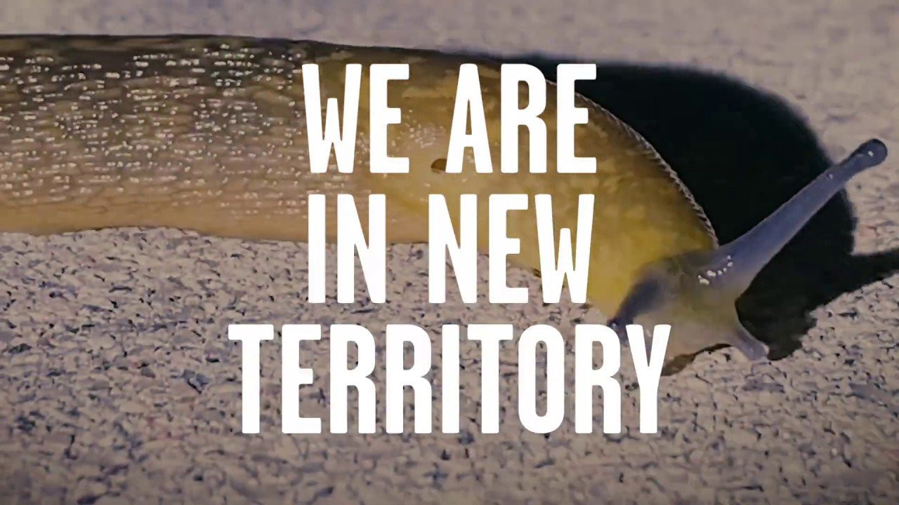 Since the beginning, our culture was created and motivated by one thing... change. In fact the magic is that every wave, every skate spot, every painting is different and constantly evolving. As we look ahead we are motivated to embrace change and build a New Future together. While we are equally cautious and concerned for the overall well-being of the human race and mother earth, we have no doubt that our collective creativity will be an engine of positive energy. Though these times are different, the only constant is change, let’s embrace it with an open mind.<br /><br />Show us your passions (your THIS) and tell us how you’re embracing change. We want share your story with our followers on Instagram so use the hashtag #truetothis and mention @volcom so we can regram!<br /><br />https://vol.cm/forthis