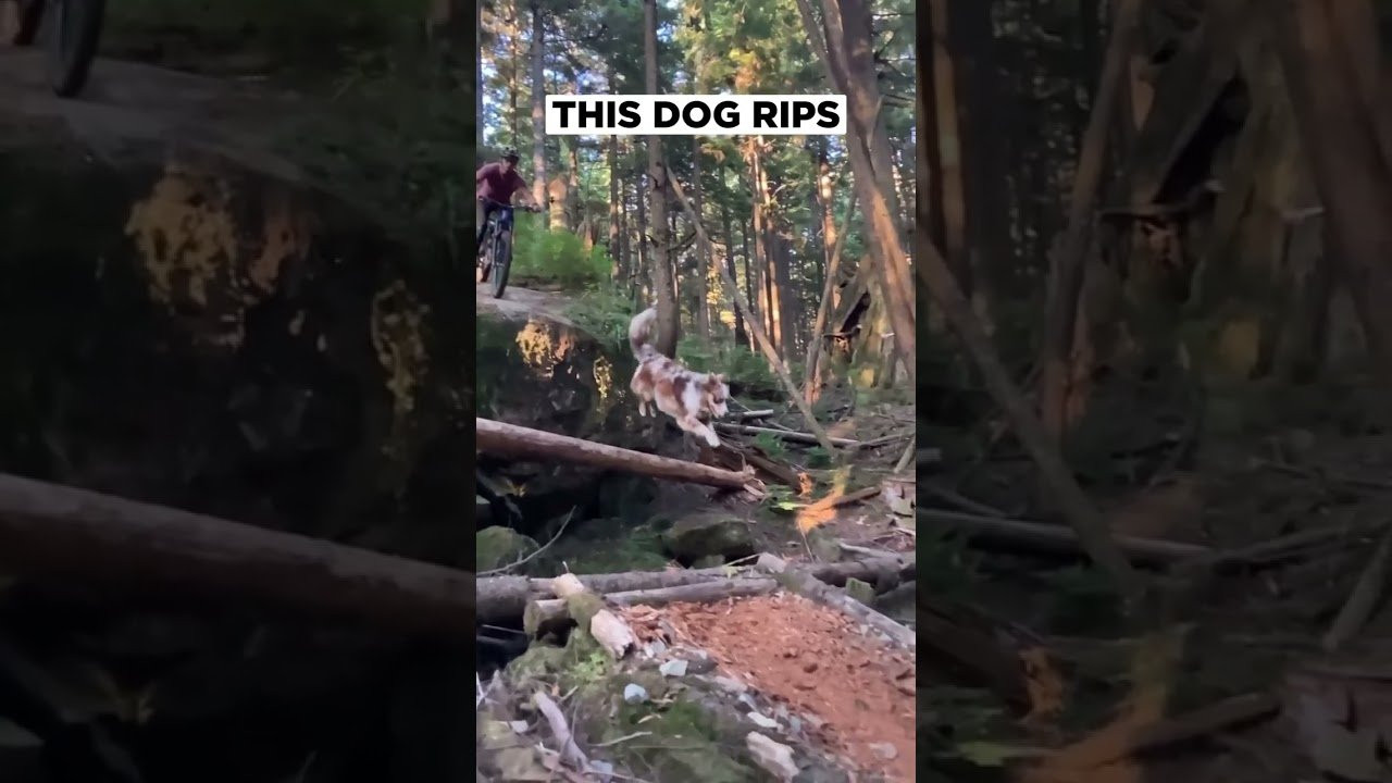 ____<br /><br />X Games — your destination for all things action sports, music, lifestyle and everything in between. <br /><br />Visit our official homepage at http://xgames.com for more coverage and highlights.<br /><br />SUBSCRIBE: https://www.youtube.com/XGames<br /><br />Check us on Social @XGames:<br />Instagram ► https://instagram.com/xgames<br />TikTok ► https://www.tiktok.com/@XGames<br />Twitter ► https://twitter.com/xgames<br />Facebook ► https://facebook.com/XGames<br />Twitch ► https://www.twitch.tv/xgames<br />Snapchat ► @xgames<br />Text Us! ► (772) 494-2637<br /><br />Thanks for watching #XGames!