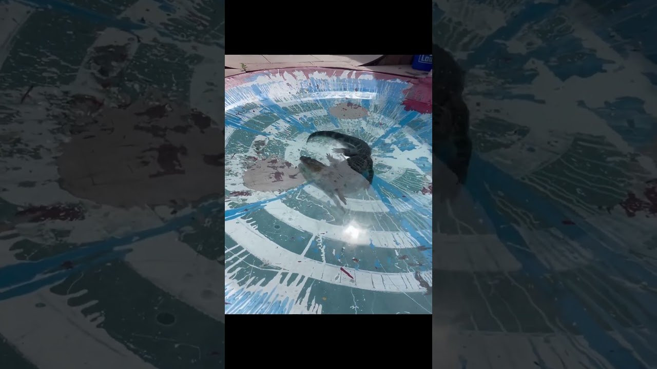 ____<br /><br />X Games — your destination for all things action sports, music, lifestyle and everything in between. <br /><br />Visit our official homepage at http://xgames.com for more coverage and highlights.<br /><br />SUBSCRIBE: https://www.youtube.com/XGames<br /><br />Check us on Social @XGames:<br />Instagram ► https://instagram.com/xgames<br />TikTok ► https://www.tiktok.com/@XGames<br />Twitter ► https://twitter.com/xgames<br />Facebook ► https://facebook.com/XGames<br />Twitch ► https://www.twitch.tv/xgames<br />Snapchat ► @xgames<br />Text Us! ► (772) 494-2637<br /><br />Thanks for watching #XGames!