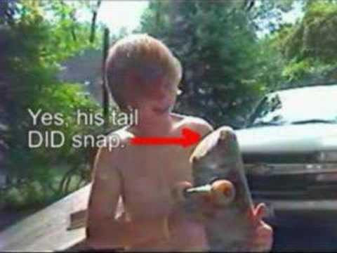 Derek Lee hit his balls on his skateboard so hard the tail SNAPPED OFF. amazing. watch it and cry.