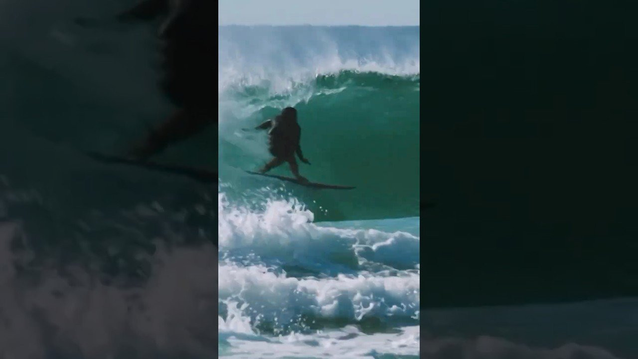 After a successful junior career, Frankie Harrer decided to do what makes her happy. Like going finless for a year straight and raising two daughters.<br /><br />Watch the entrepreneur who surfs Chopes star in Milk & Honey on Stab Premium.