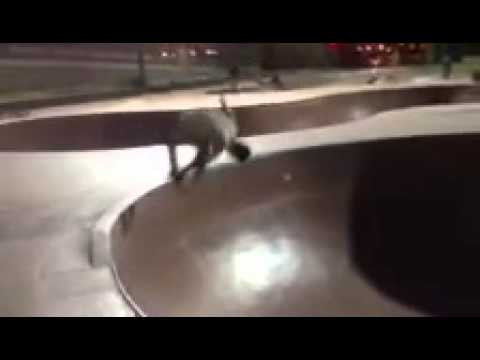 Enjoy the videos and music you love, upload original content, and share it all with friends, family, and the world on YouTube.