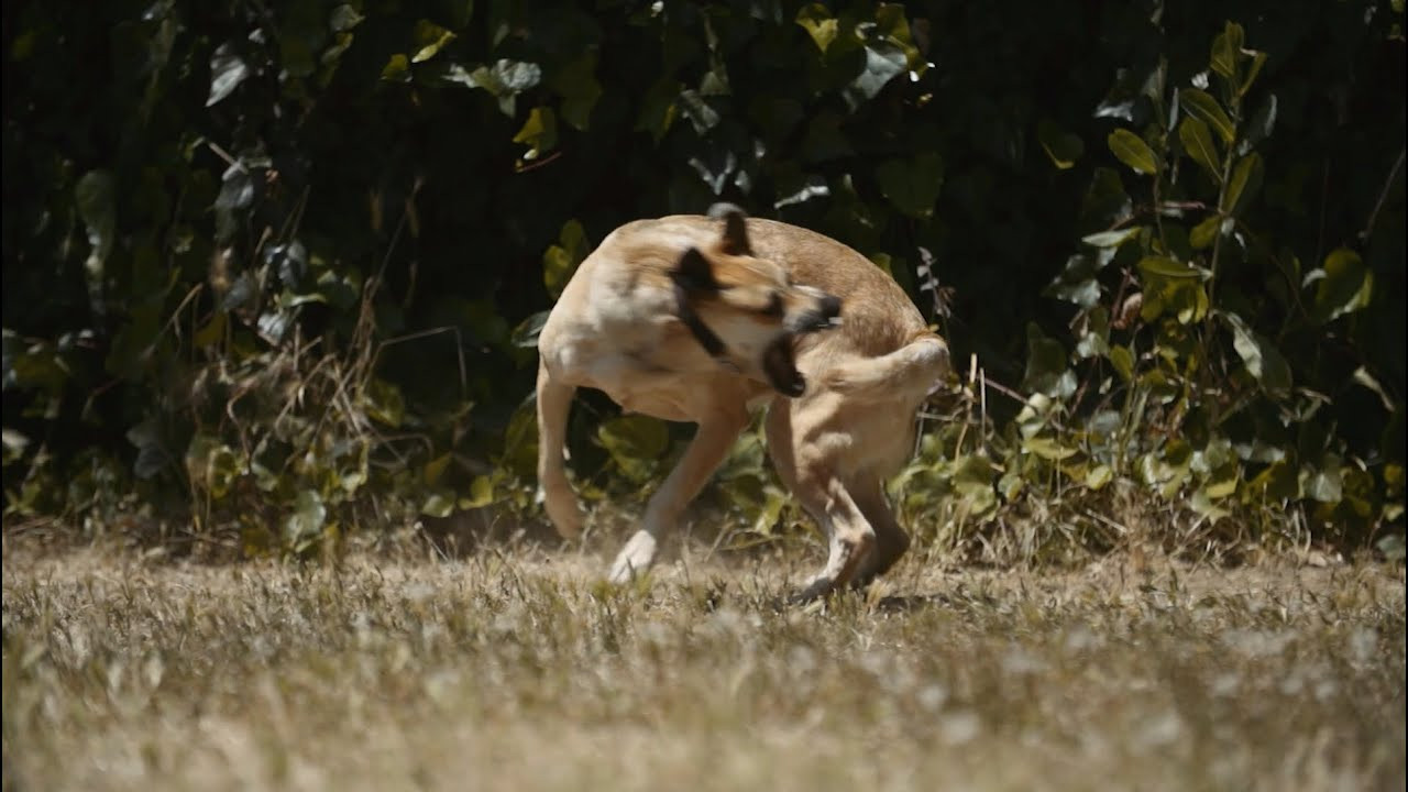Catch some HUF Summer staycation vibes. The Summer drop comes with a variety of new tie-dye washes, all-over prints and neon pops, alongside the revival of 90s-famed Hypercolor technology and UV-reactive color changing graphics. <br /><br />Available now in stores and online: https://www.hufworldwide.com/huf_en_us/summer