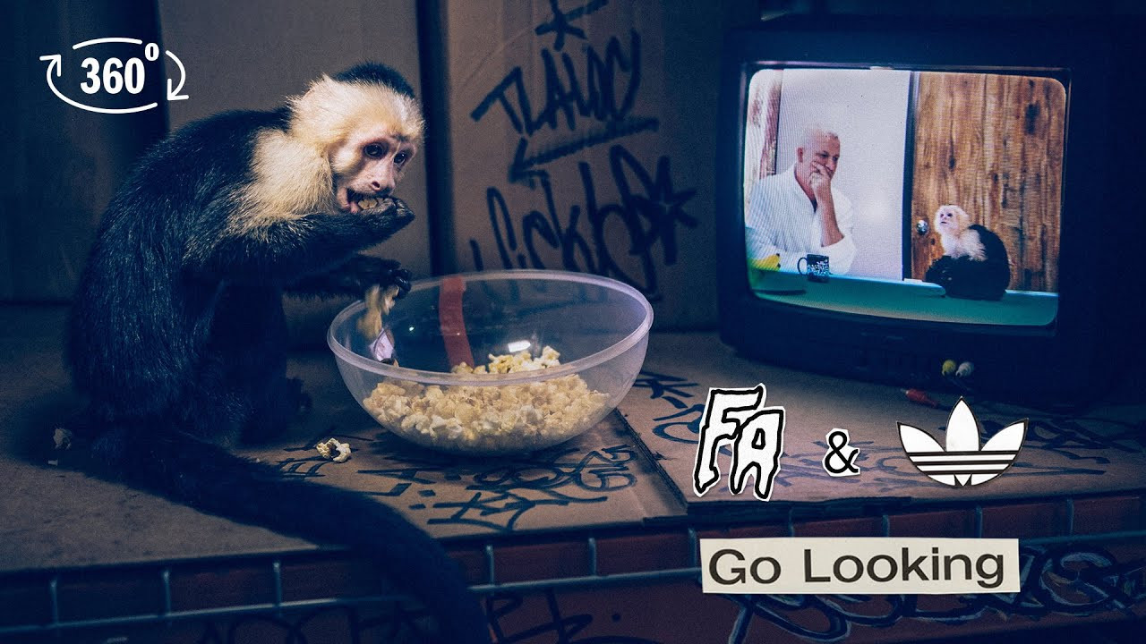 Behind the curtain of FA with Jason Dill.<br /><br />A 360-degree Immersive Experience.<br /><br />Best viewed on 4k on phone or tablet.<br /><br />Featuring in order of appearance:<br />Jason Dill<br />Ozzie Juarez<br />Kyle Johnson<br />Greg Kenton<br />Andrew Durgin-Barnes<br />Reverend Baron<br />Allie (monkey)<br />MQ<br />Sage Caswell<br />Lefterios Dalton<br />Mario Mejia<br />Glen Hammerle<br />Isaac<br />Escoto Chuy<br />John Fecke<br />Pheb<br />Tokyo<br />Liter<br />Chaka<br /><br />Produced by: Made by Delphi<br />Directed by: Greg Hunt<br />Original Score: Reverend Baron<br />Director of Photography and VFX: Jim Geduldick /Spaceboy Labs<br />Producer: Oliver Barton<br />Production Designer & Coordinator: Sage Caswell<br />Gaffer: Seu Trinh<br />Video Tech: Alan Hannon<br />Monkey Trainers: Benay’s Bird and Animal Rentals, Mike Morris Jr. &<br />Roxana Shekarabi<br />Horse Trainers: Joshua Macias, Sammy Brown<br /><br /><br />FuckingAwesomeStore.com<br />Adidas.com/Skateboarding<br />Instagram.com/FuckingAwesome<br />Instagram.com/adidasSkateboarding