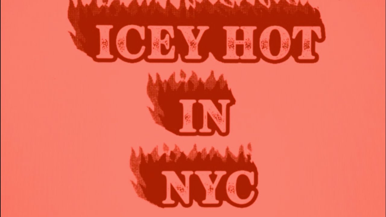 WE WENT TO NYC FOR 10 DAYS OVER SUMMER....IT WAS ICEY HOT<br />http://www.passportal.com.au/