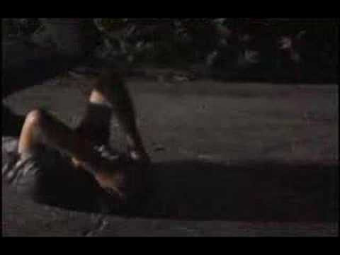 The fall section that was left out from the bonus features of Been there Done That.