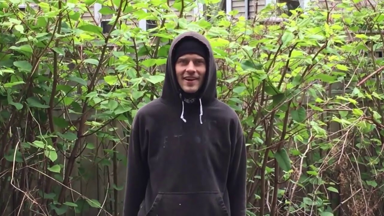 fancyladskateboards.com