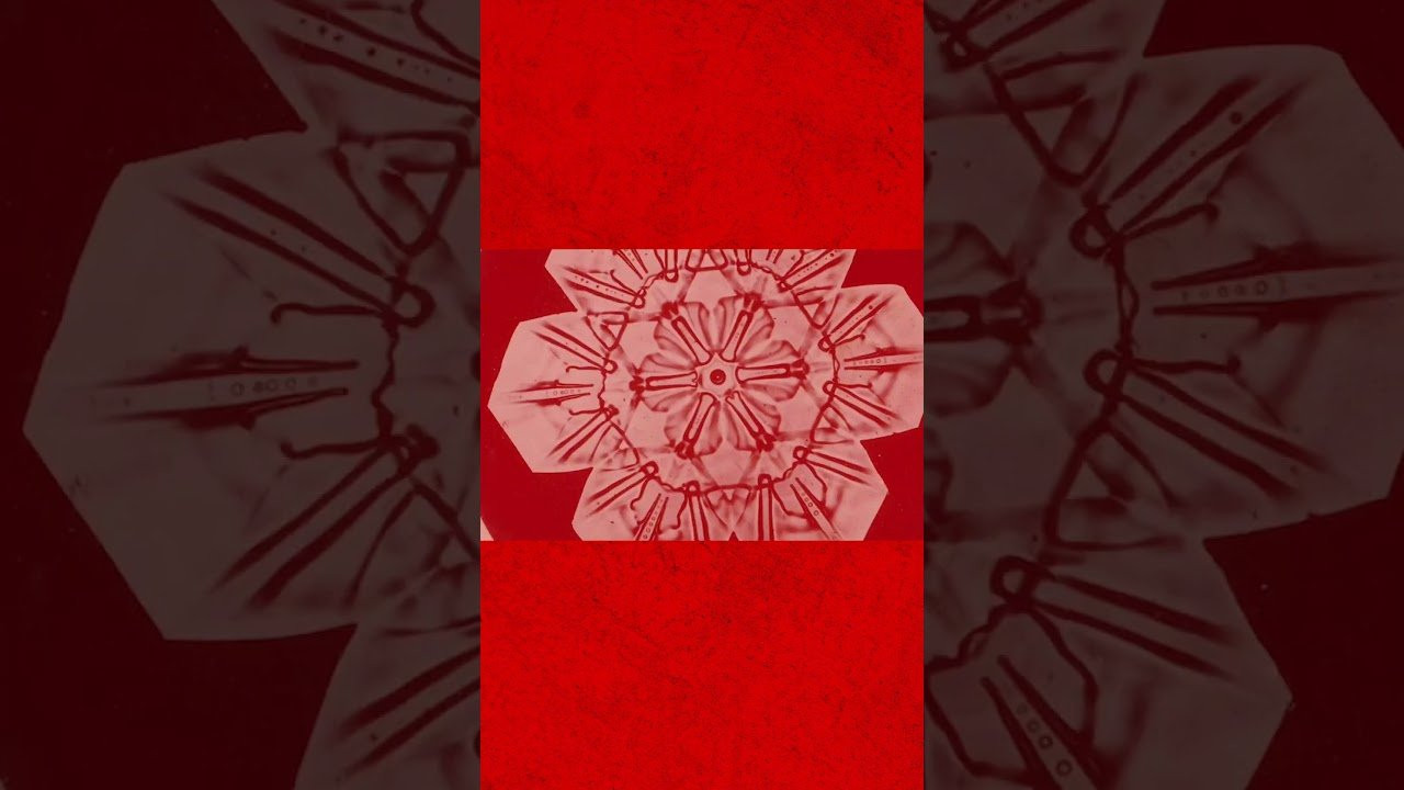 Enjoy the videos and music you love, upload original content, and share it all with friends, family, and the world on YouTube.