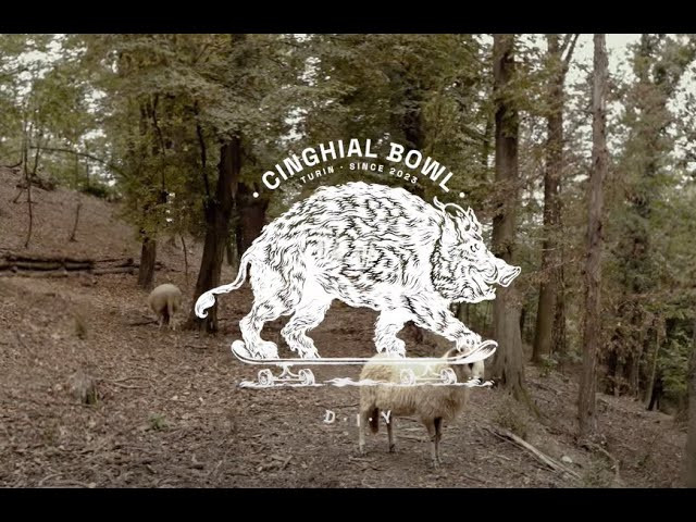 Part of the ANTIZ crew crashed in the most amazing place in Torino at Albi's CINGHIAL BOWL <br />Pasta, Limocello and Sheeps.<br />What a good start to begin 2024 on the right foot.<br /><br />Music Performed by:<br />- SCREAMIN'JAY HAWKINS ----- Constipation Blues ----- 1969<br /><br />Filmed by ALBERTO DELLA BEFFA<br /><br />Directed and Edited by ALBERTO DELLA BEFFA