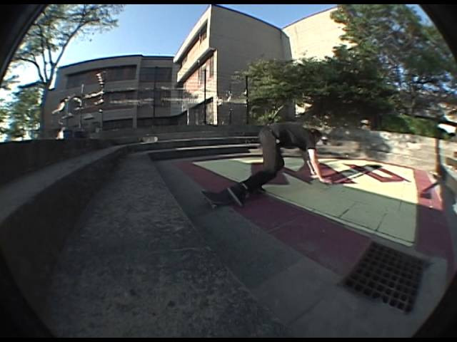 ...your brain is the one with the shell on it.<br /><br />www.fancyladskateboards.com