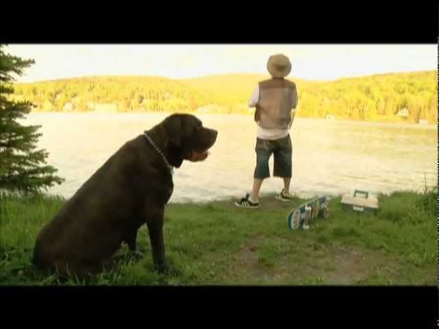 CLICK HERE FOR HD VERSION http://youtu.be/swdnPlz8EMU<br /> <br /> LIKE & SHARE https://www.facebook.com/YouWheels<br /> http://www.ulcskateboards.com/<br /> http://blacktaboovideo.com/