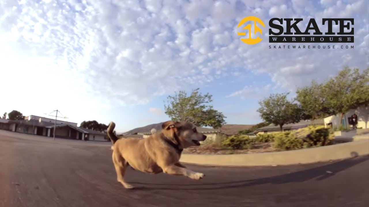 A compilation of footage filmed by Tuan Nguyen while he was living in SLO and working at SW. He made this edit of the entire SW crew as a parting gift, and we hope you enjoy it as much as we do!<br /><br />Filmed & Edited by Tuan Nguyen<br /><br />Want to see more Skate Warehouse videos on the regular? <br />Subscribe to our YouTube Channel to stay plugged in. Go skate! http://www.youtube.com/wwwskatewareho...<br /><br />Go Skate Blog: http://blog.skatewarehouse.com/<br />Facebook: https://www.facebook.com/SkateWarehouse<br />Twitter: https://twitter.com/skate_warehouse<br />Instagram: http://instagram.com/skatewarehouse<br />Pinterest: http://www.pinterest.com/skatewarehouse/<br />Tumblr: http://skate-warehouse.tumblr.com/<br />Google+: https://plus.google.com/+SkateWarehouse/