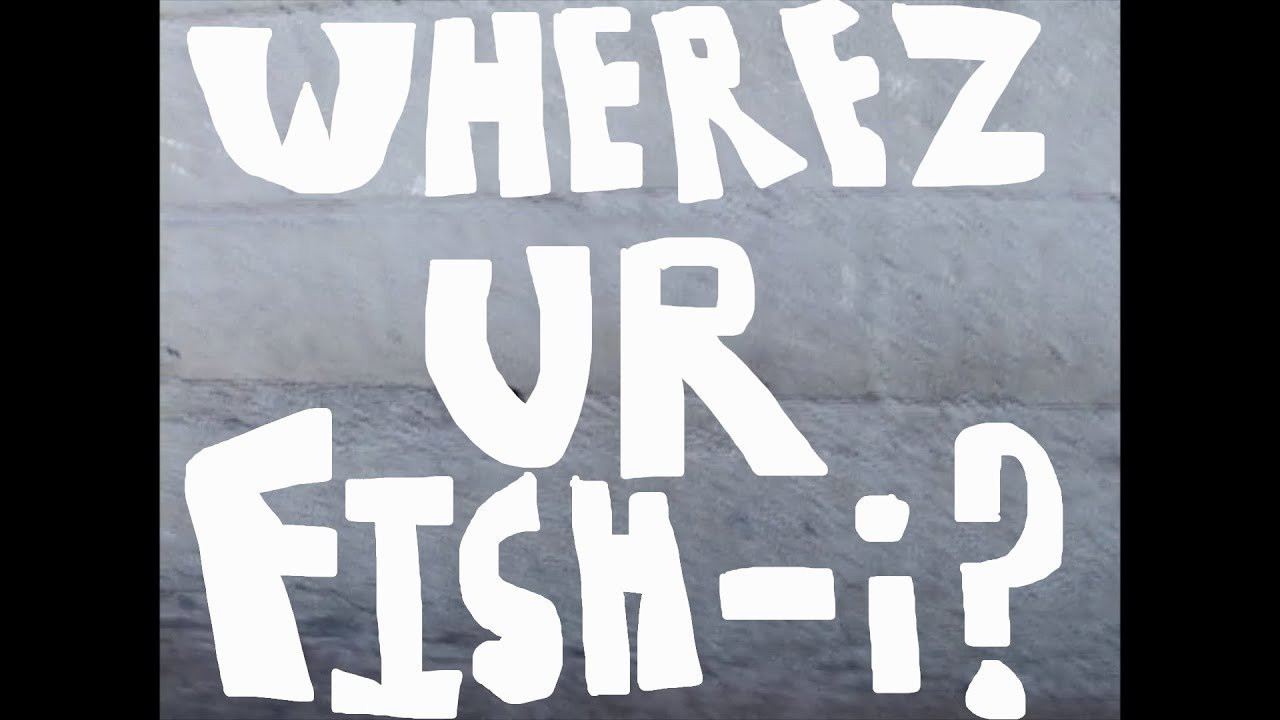 bakafaka flamez<br />bar acquired VX<br />extraterrestrial fisheye<br />good timez<br />shakamahaloz