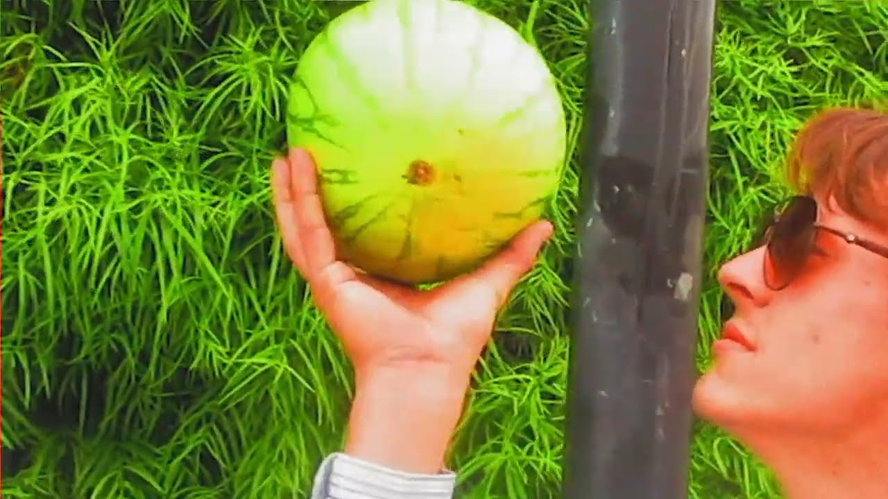 Frankie secret video with pro model QR code. This video was only available when you scanned the code on the deck. There are few boards left in circulation so please enjoy this movie by Diego Meek. <br />https://frogskateboards.com/