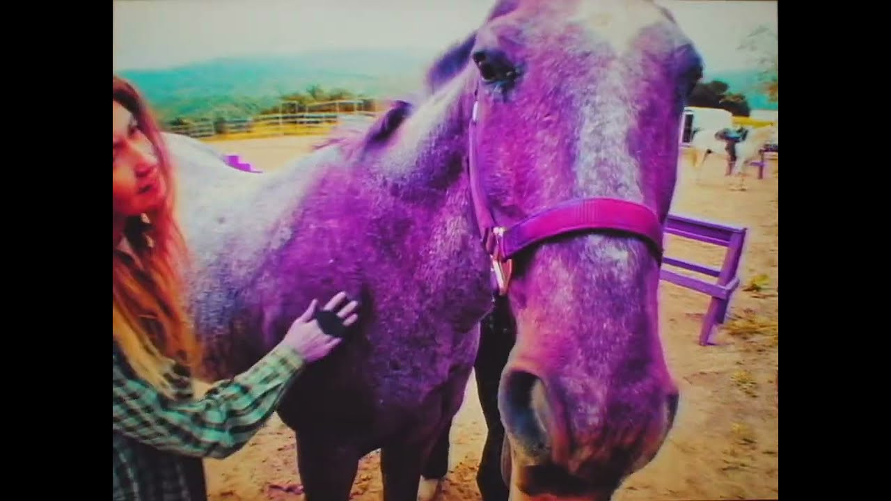 Commercial for Frog Denim featuring Hayden Burns and Charlie Mcharg.<br />Filmed and edited by Diego Meek. <br />-Frog Denim and Button ups available online only - <br />https://frogskateboards.com/